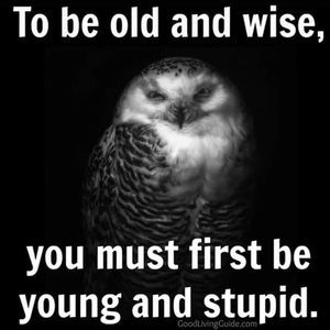 Meet your Posher, Benjamin